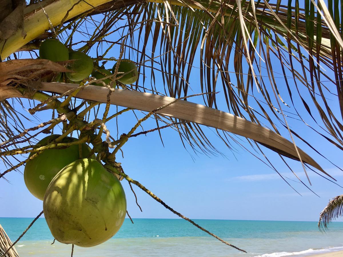 Hotel Casa Playa زوريتوس المظهر الخارجي الصورة